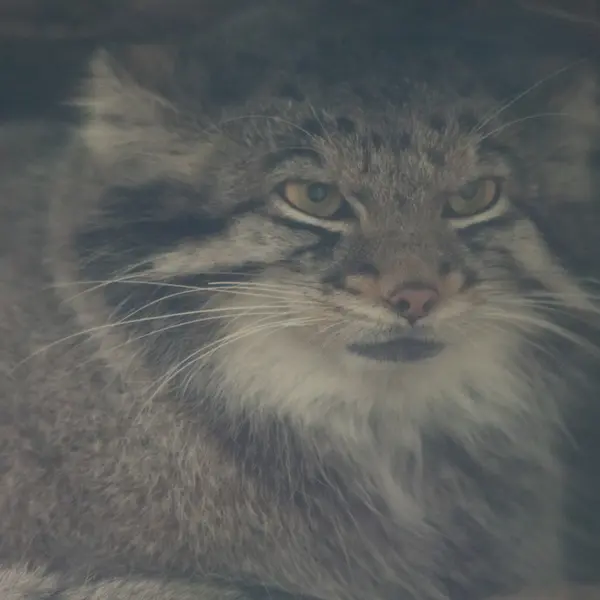 Фотография Ото в Царстве Животных Кобе