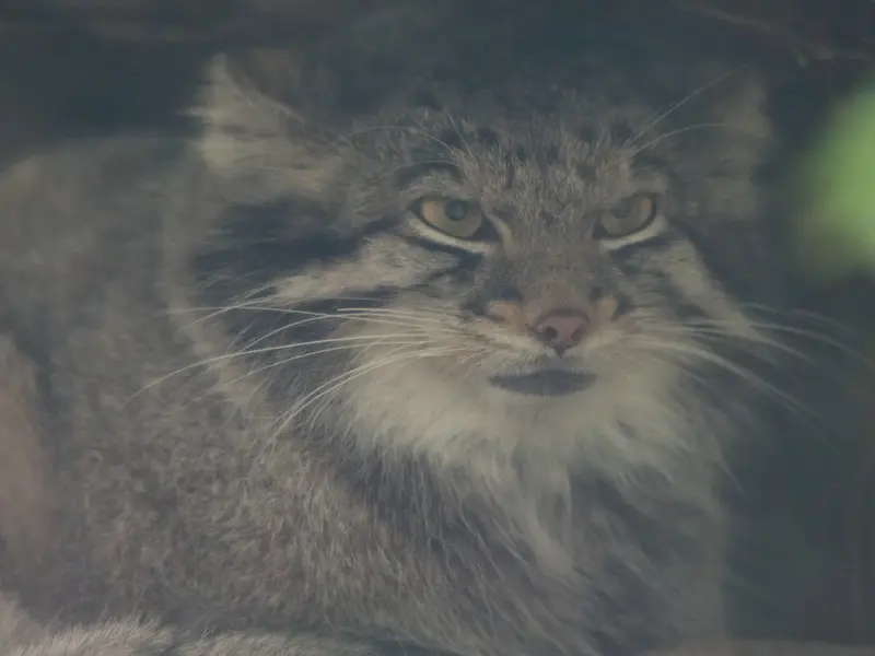 Фотография Ото в Царстве Животных Кобе