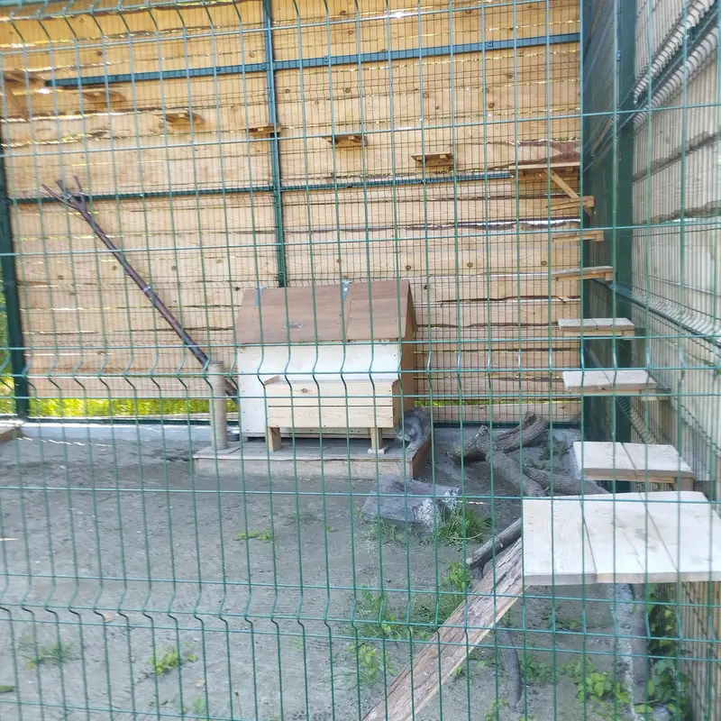 Фотография Чипа в Барнаульском Зоопарке «Лесная сказка»