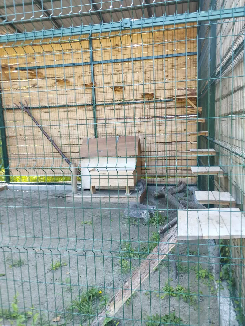 Фотография Чипа в Барнаульском Зоопарке «Лесная сказка»