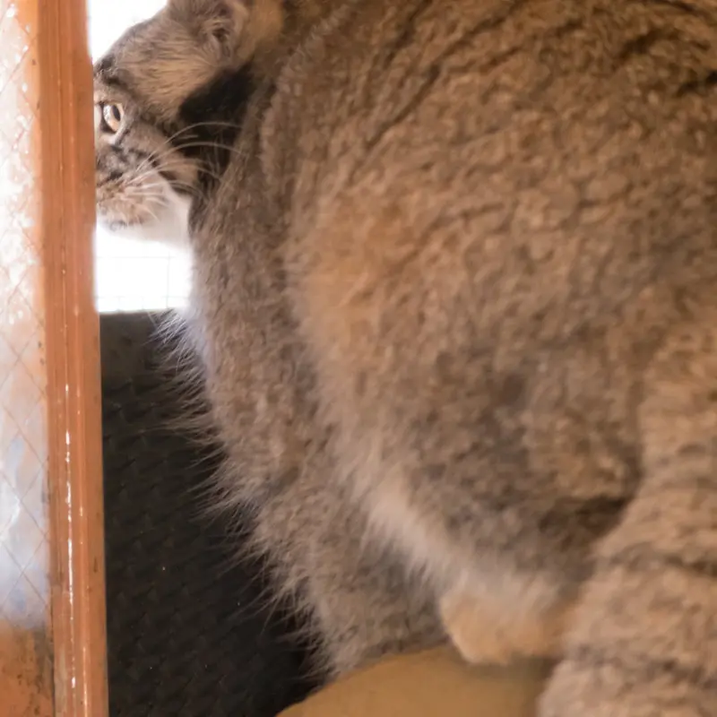 Фотография Ото в Детском зоопарке Сайтама