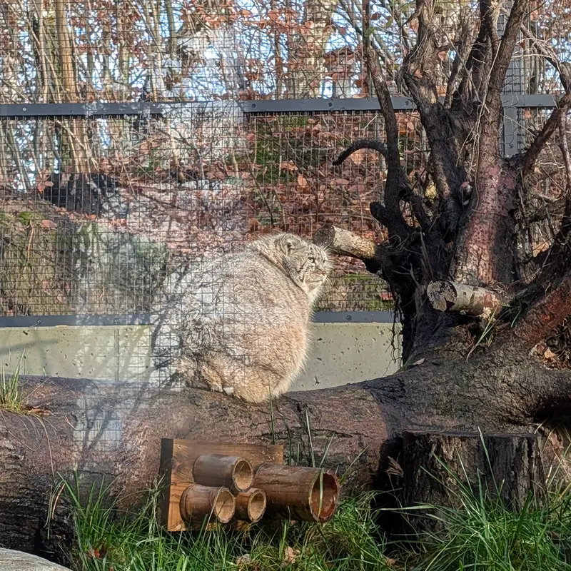 Фотография Мануэля в Гданском Зоопарке