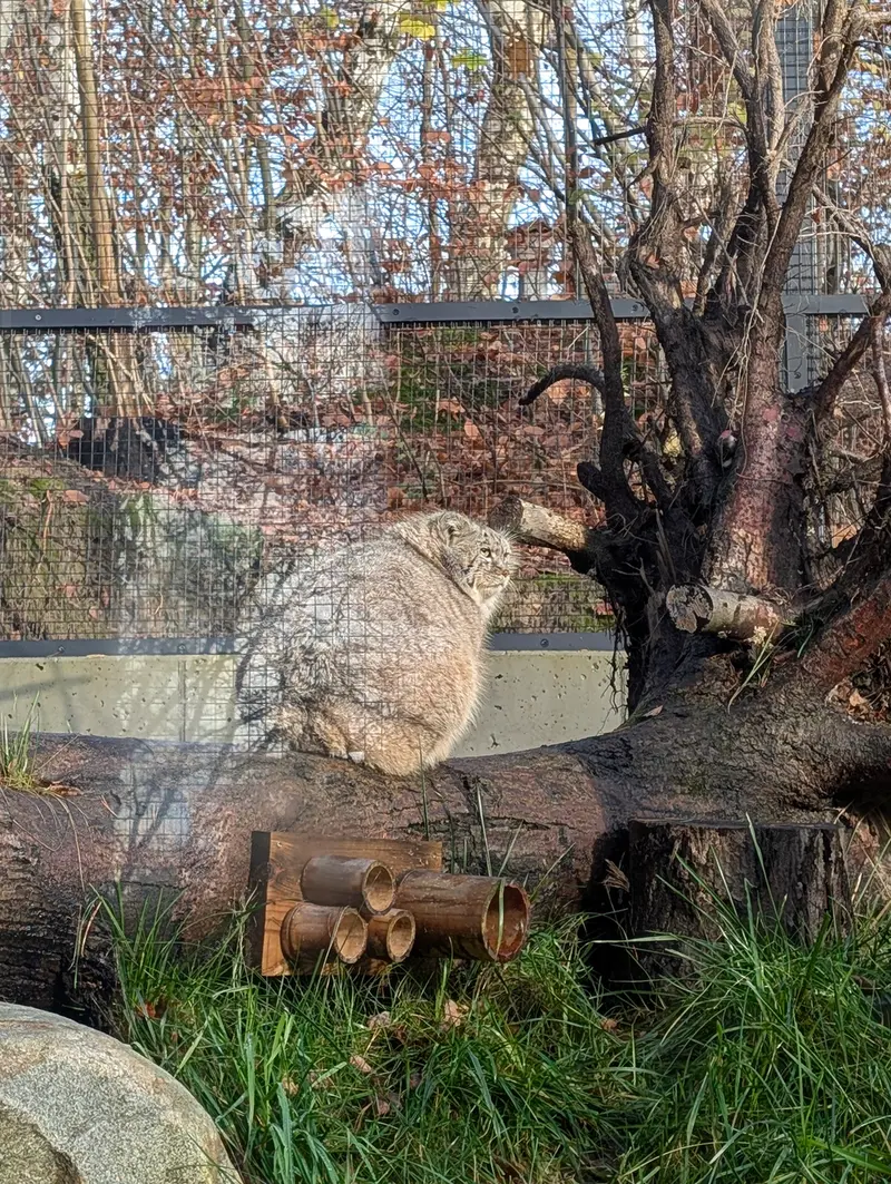 Фотография Мануэля в Гданском Зоопарке