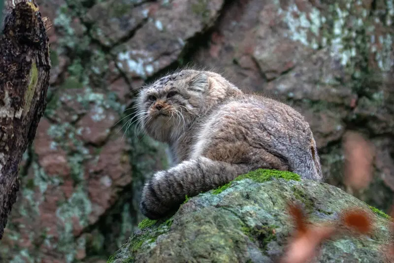 Фотография Томаса О’Мэлли в Норденс Арк