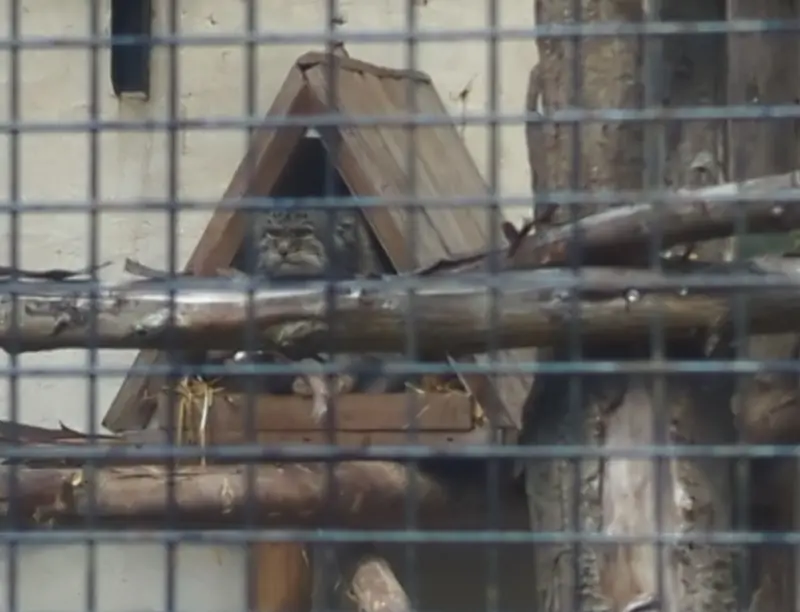 Фотография Вораса в Лилльском Зоопарке