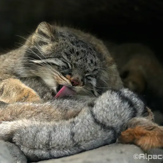 Фотография Мей в Царстве Животных Кобе