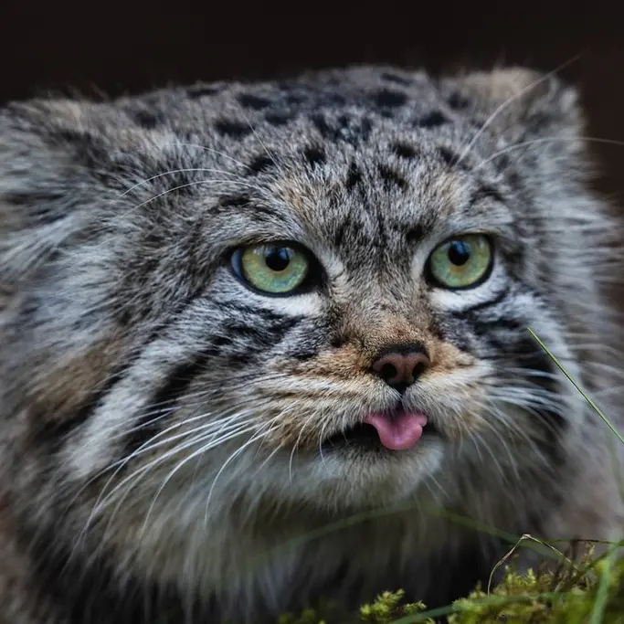 Фотография Бориса в Роевом ручье