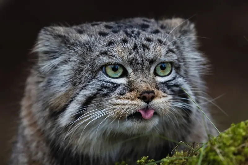 Фотография Бориса в Роевом ручье