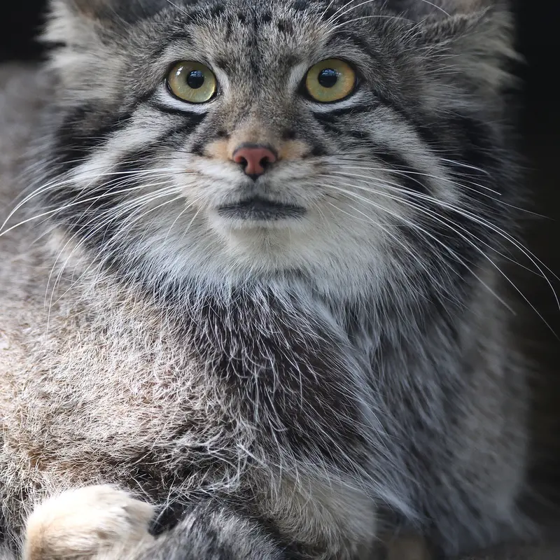 Фотография Ото в Царстве Животных Кобе