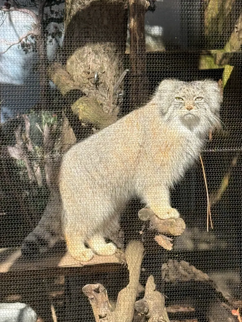 Фотография Пази в Зоопарке Поттер-парка