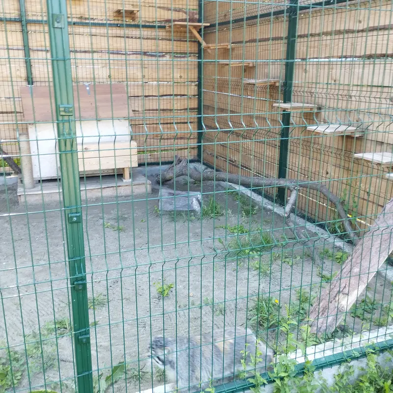 Фотография Чипа в Барнаульском Зоопарке «Лесная сказка»