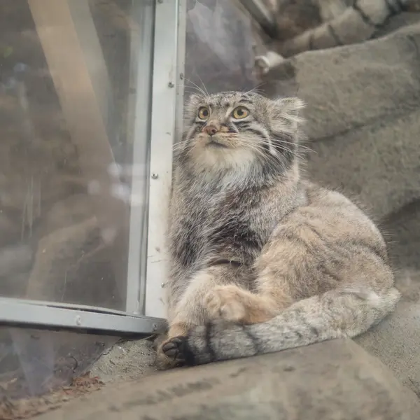 Фотография Мей в Царстве Животных Кобе