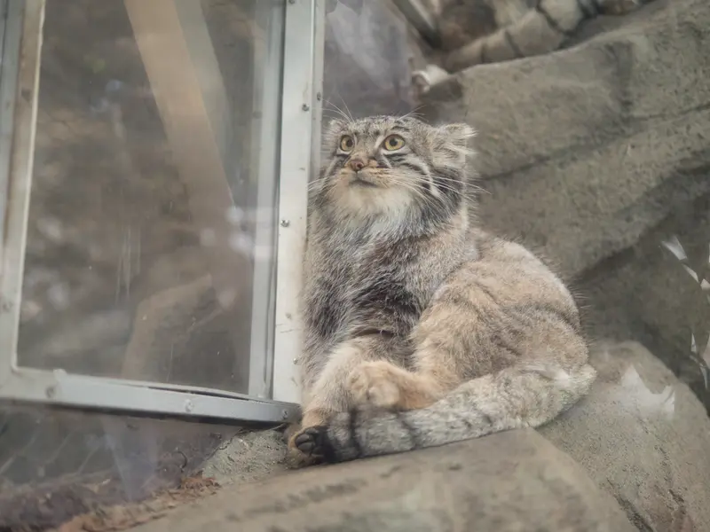 Фотография Мей в Царстве Животных Кобе