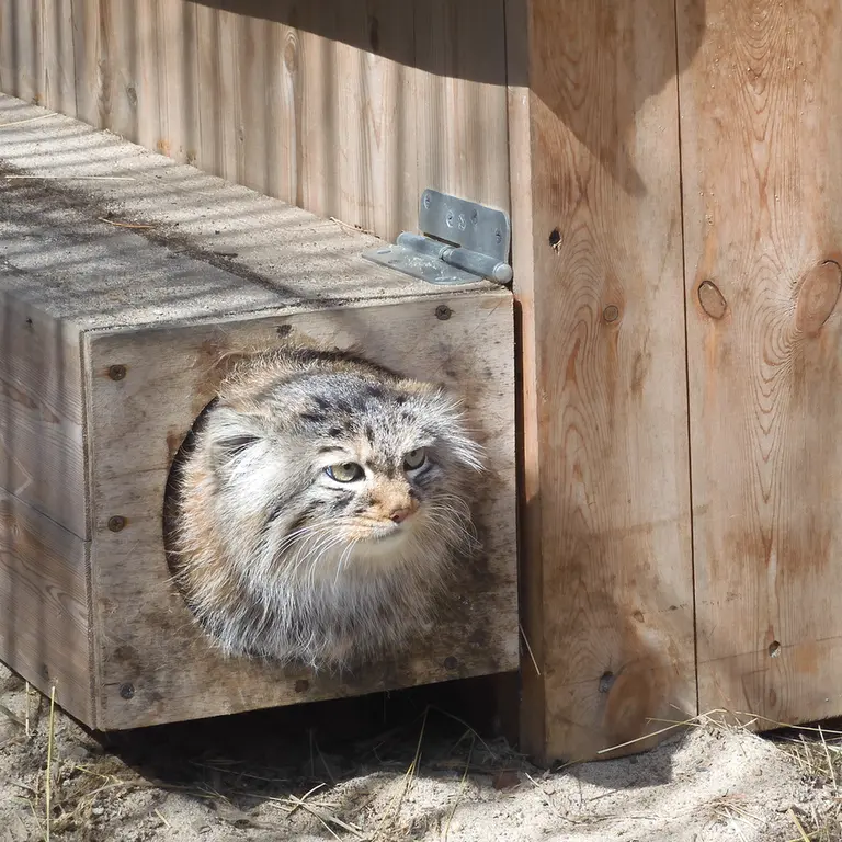 Фотография Габи в Новосибирском Зоопарке