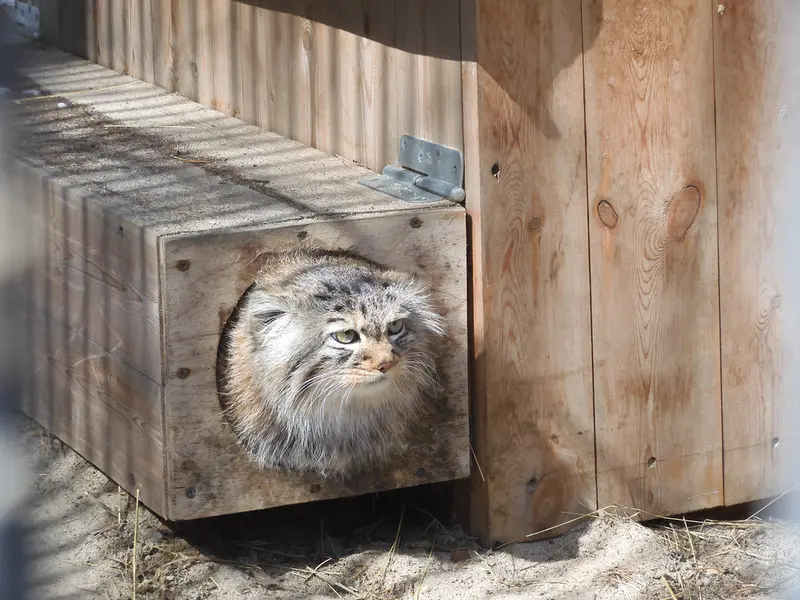 Фотография Габи в Новосибирском Зоопарке