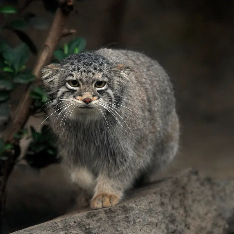 Фотография Ото в Царстве Животных Кобе