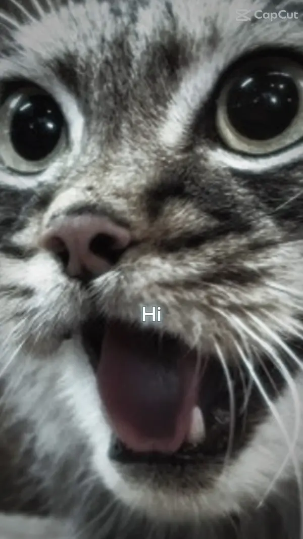что я сделал…2