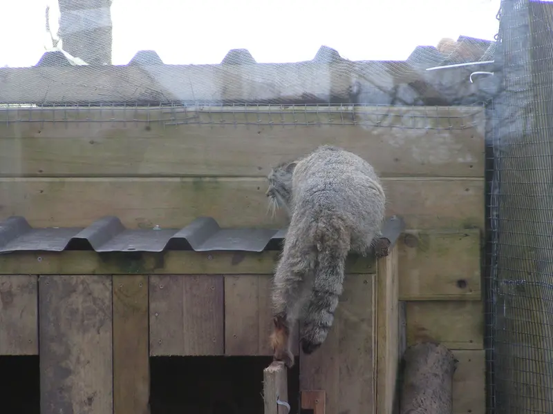 Фотография Алтая в Лэйклэнде Вайлдлайф Оазисе