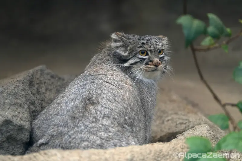 Фотография Мей в Царстве Животных Кобе