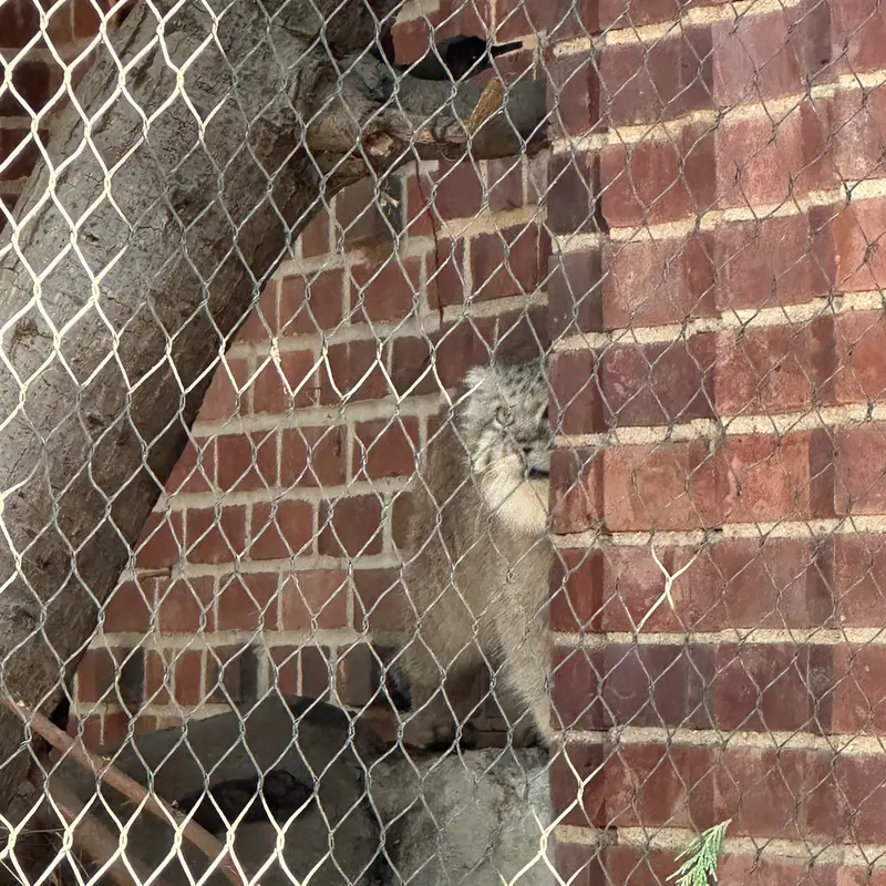 Фотография Бату в Зоопарке Проспект-парка