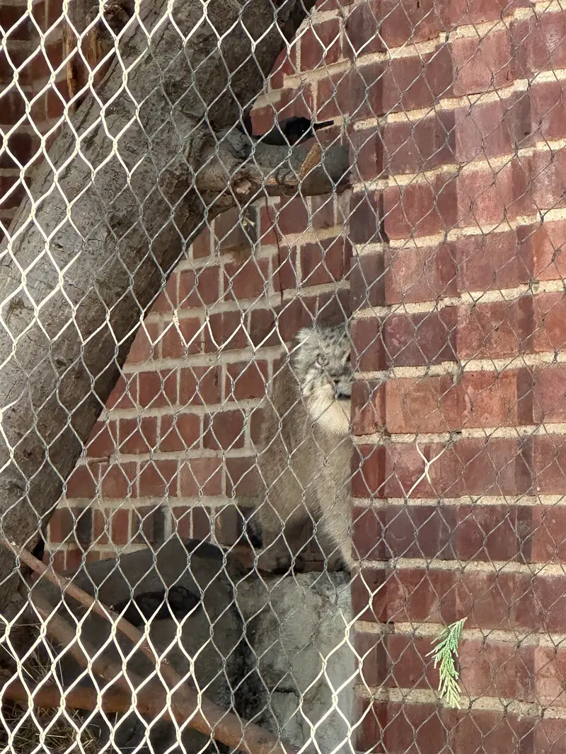 Фотография Бату в Зоопарке Проспект-парка