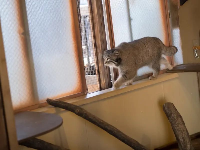 Фотография Ото в Детском зоопарке Сайтама
