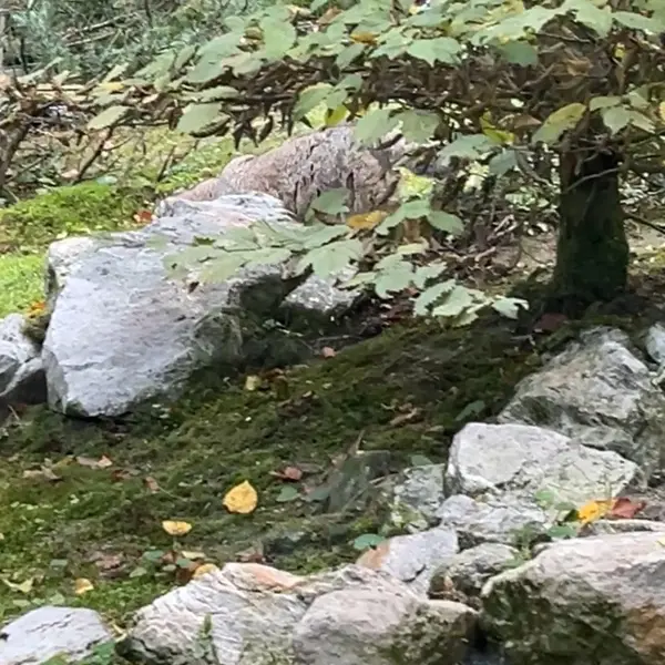 Фотография Фэй, Бату и Бату в Зоопарке Опель