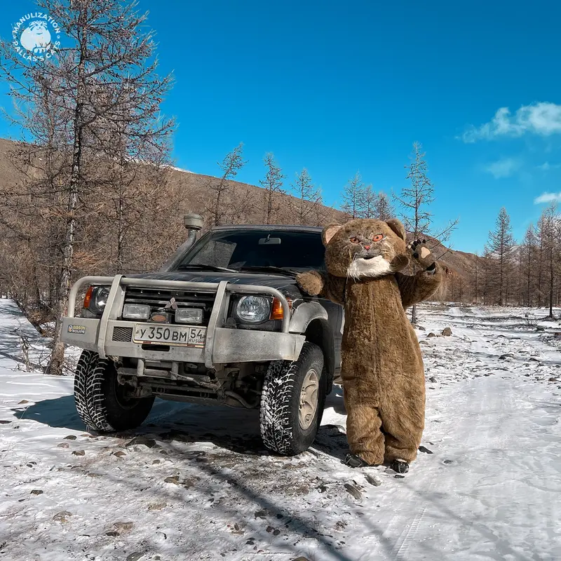 Фотография с манулом