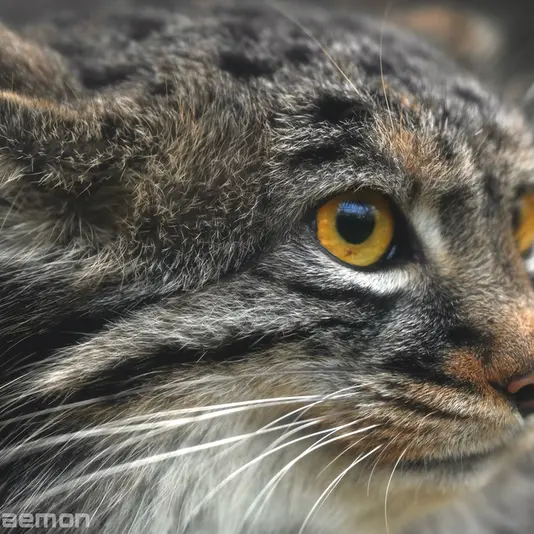 Фотография Мей в Царстве Животных Кобе