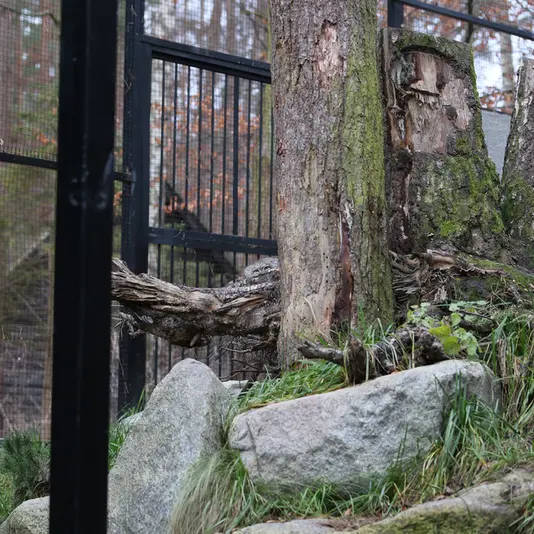 Фотография Улы в Гданском Зоопарке