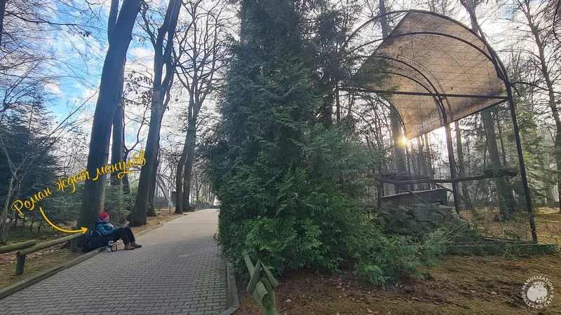 Фотография с манулом в Краковском Зоопарке