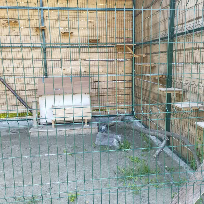 Фотография Чипа в Барнаульском Зоопарке «Лесная сказка»