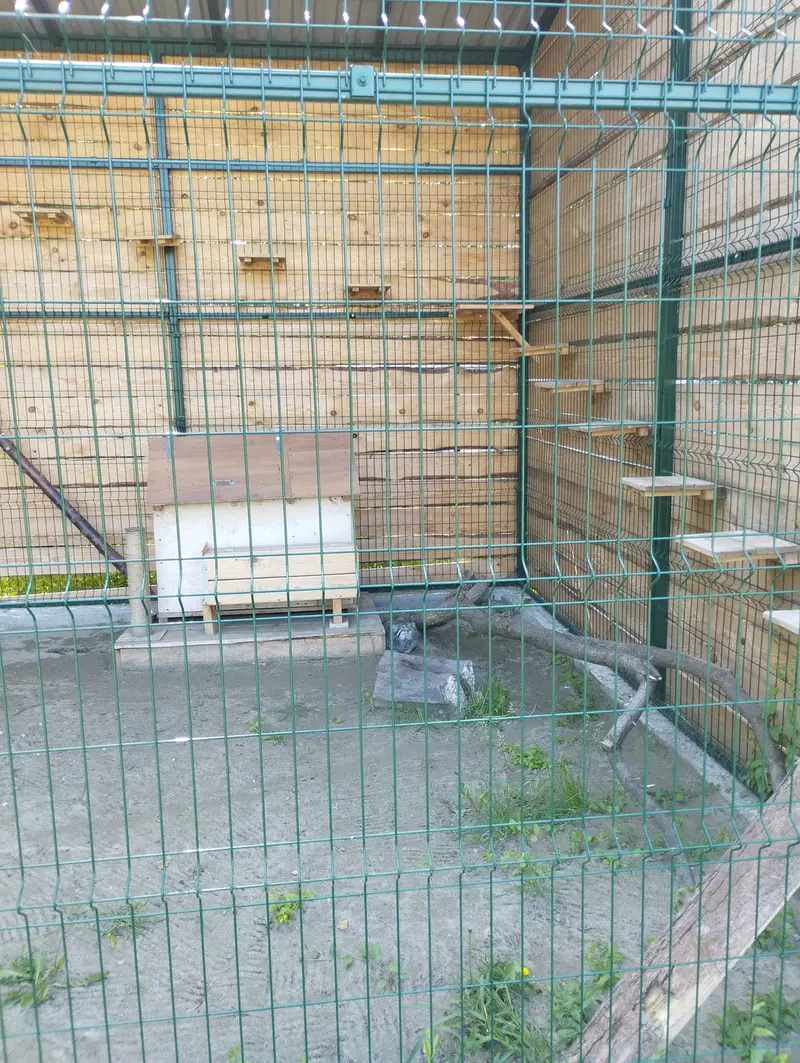 Фотография Чипа в Барнаульском Зоопарке «Лесная сказка»