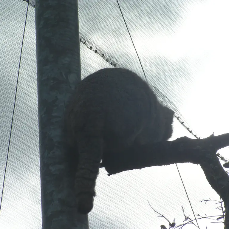 Фотография Бат-Эрдэнэ в Лэйклэнде Вайлдлайф Оазисе