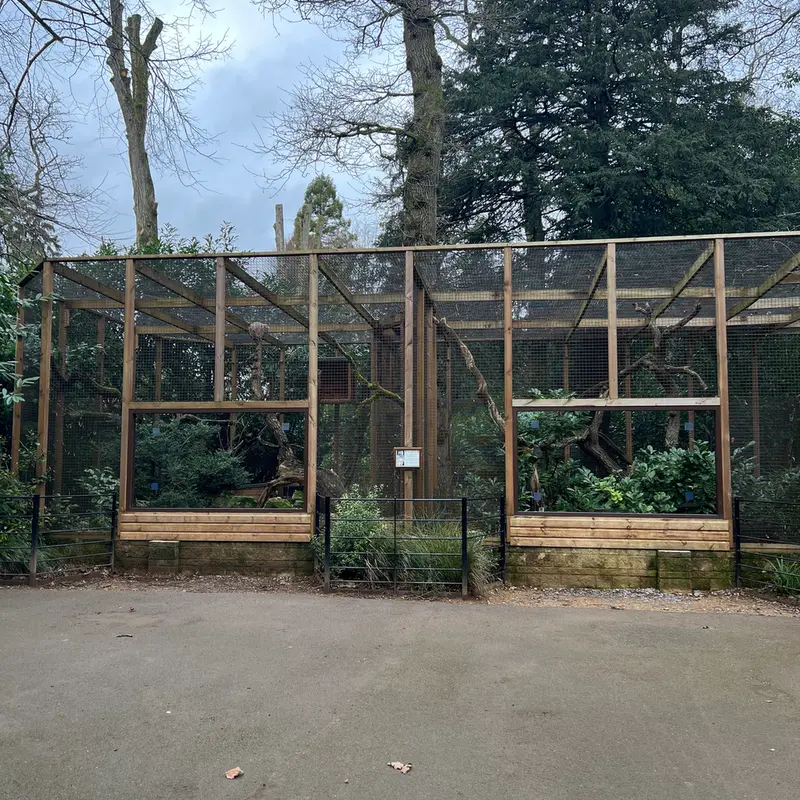 Фотография Пенелопы и Саяна в Парке дикой природы Котсуолд