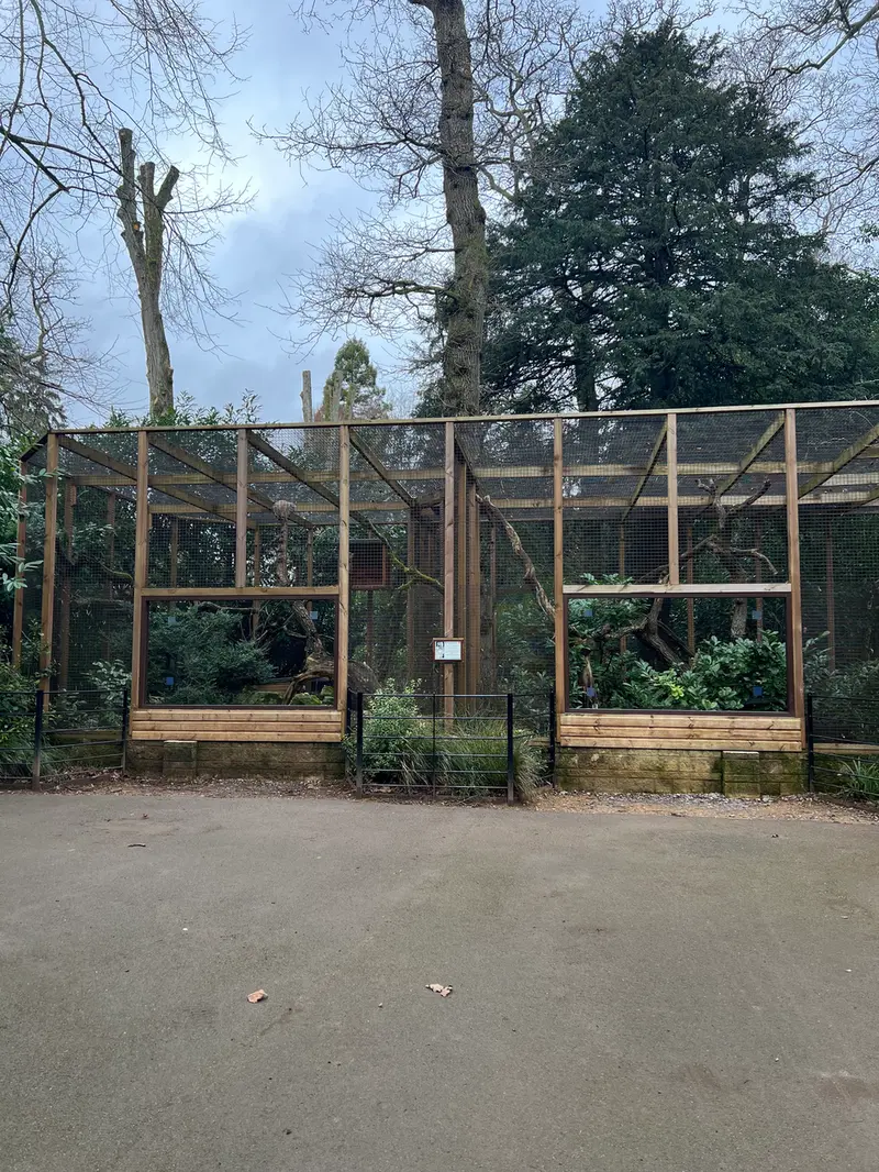 Фотография Пенелопы и Саяна в Парке дикой природы Котсуолд