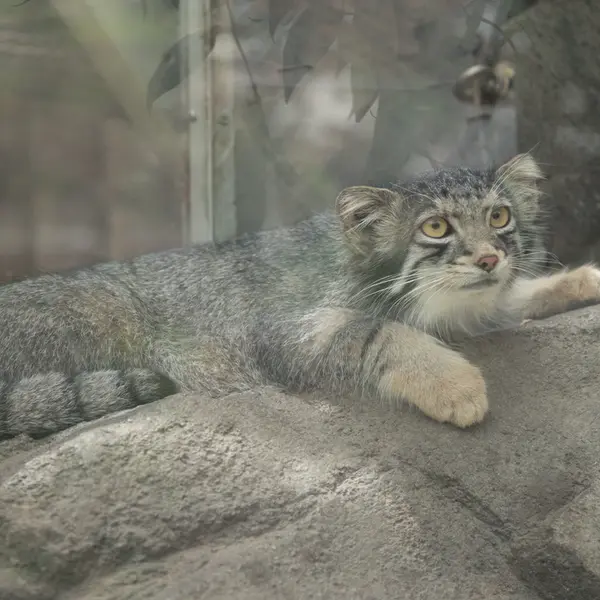 Фотография Ото в Царстве Животных Кобе