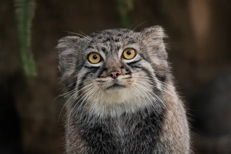 Фотография Теру