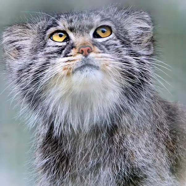 Фотография Алдана в Зи-Зуу