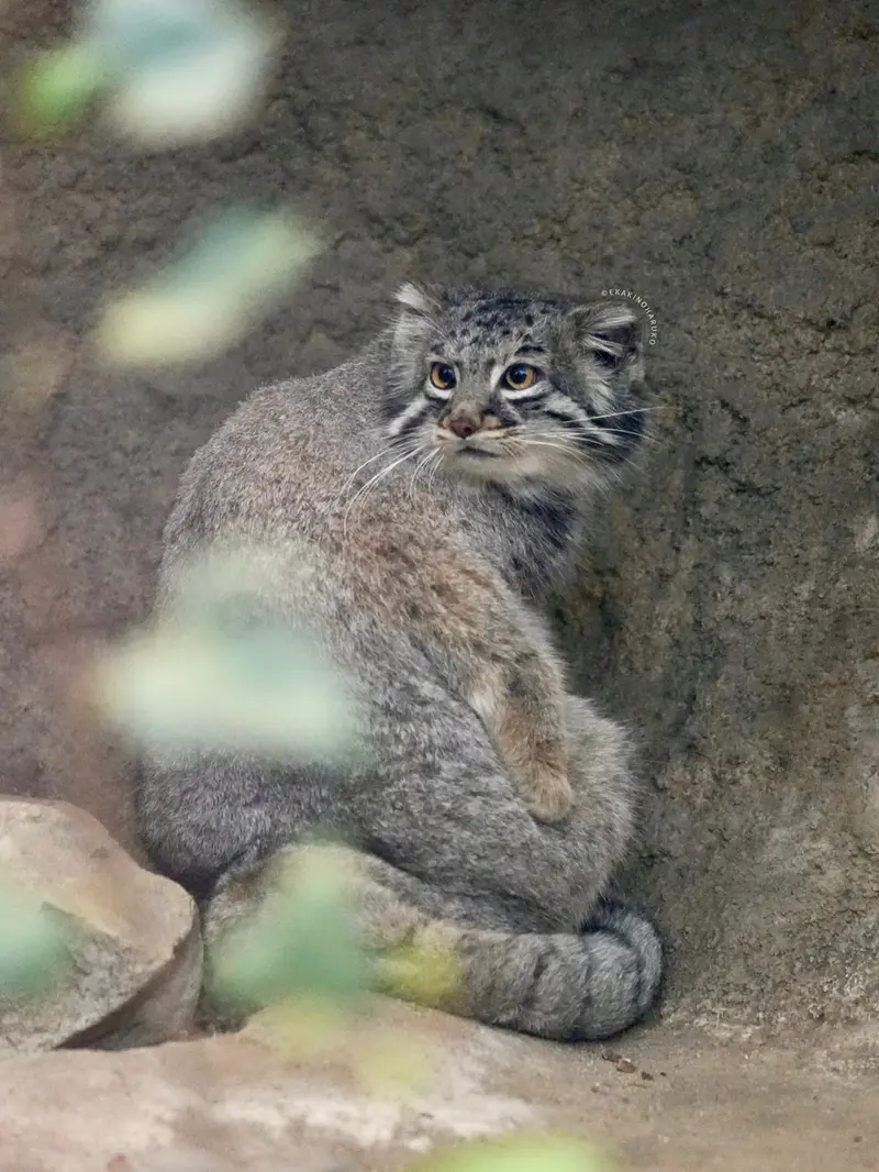 Фотография Мей в Царстве Животных Кобе
