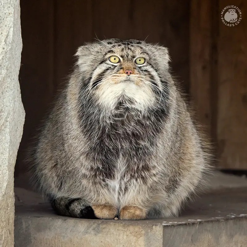 Фотография Тимофея в Московском Зоопарке