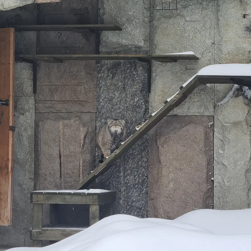 Фотография Тимофея в Московском Зоопарке