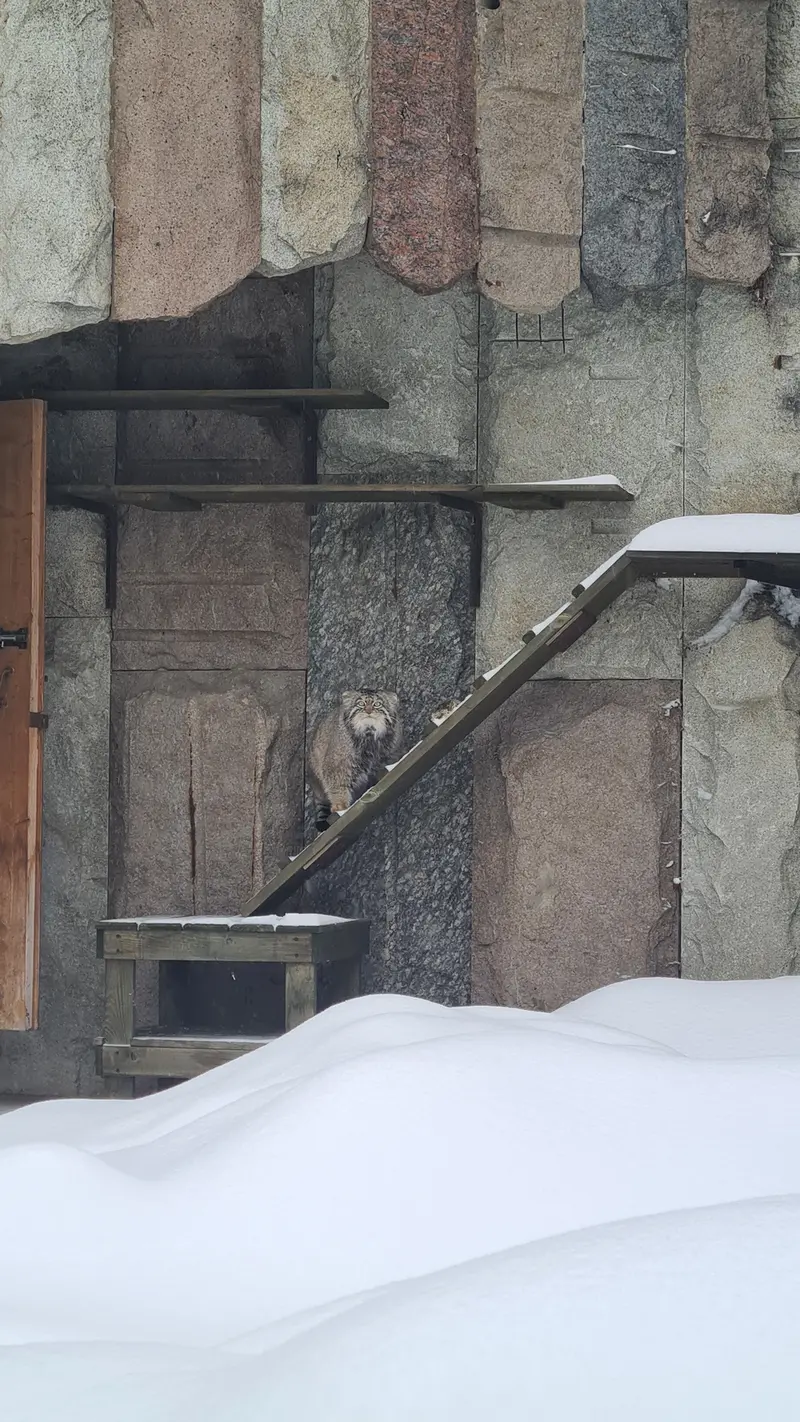 Фотография Тимофея в Московском Зоопарке