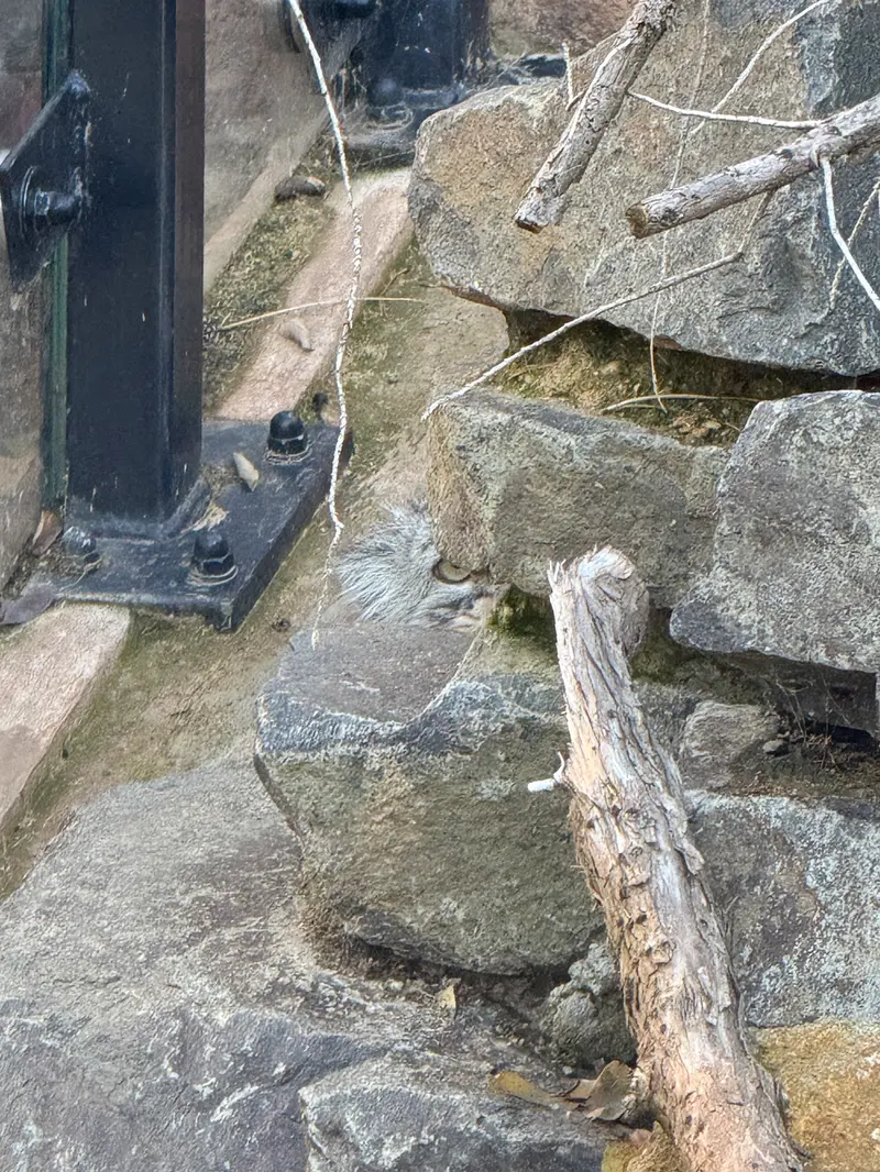 Фотография Принцессы в Пражском Зоопарке