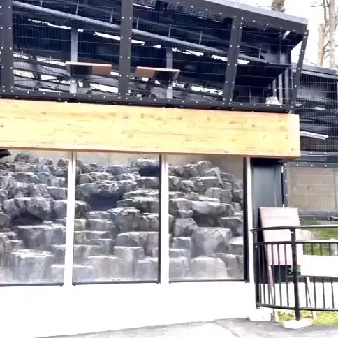 Фотография с манулом в Зоопарке Асахияма