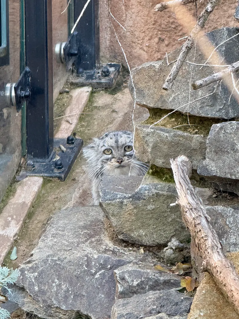 Фотография Принцессы в Пражском Зоопарке