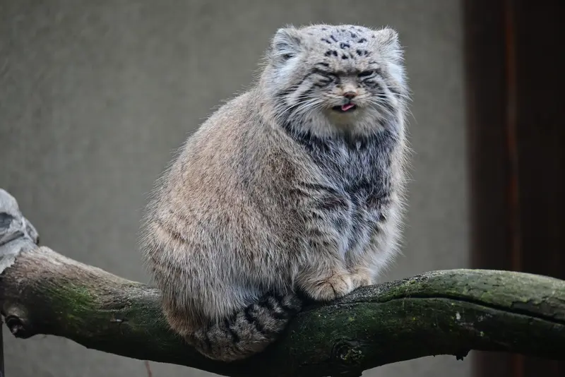 Фотография Марса в Таллинском Зоопарке