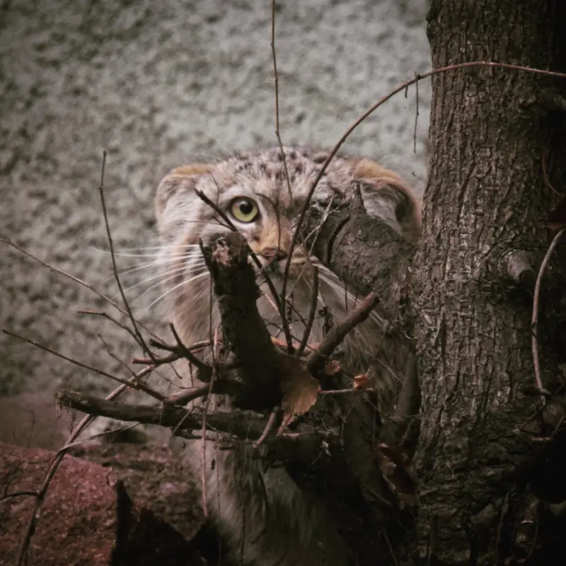 Фотография Люси в Будапештском Зоопарке