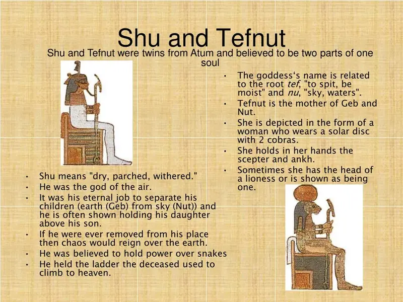 Фотография с манулом