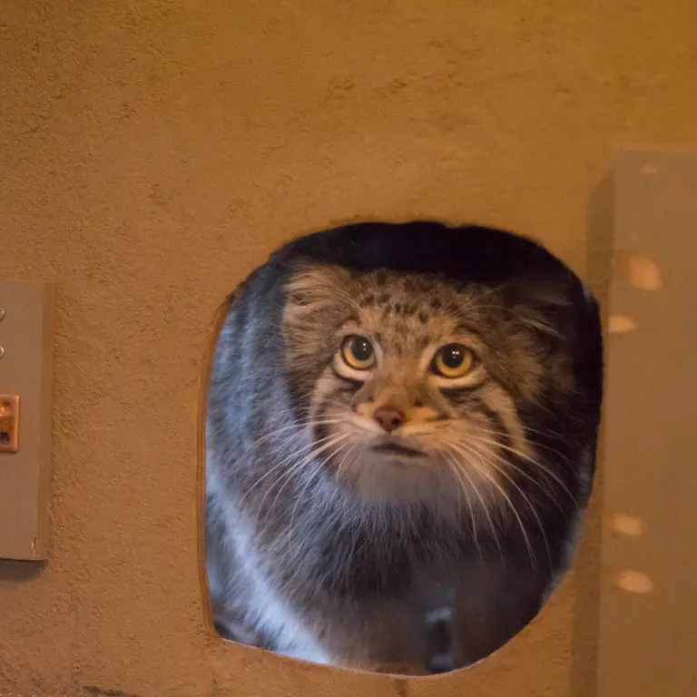 Фотография Ото в Детском зоопарке Сайтама